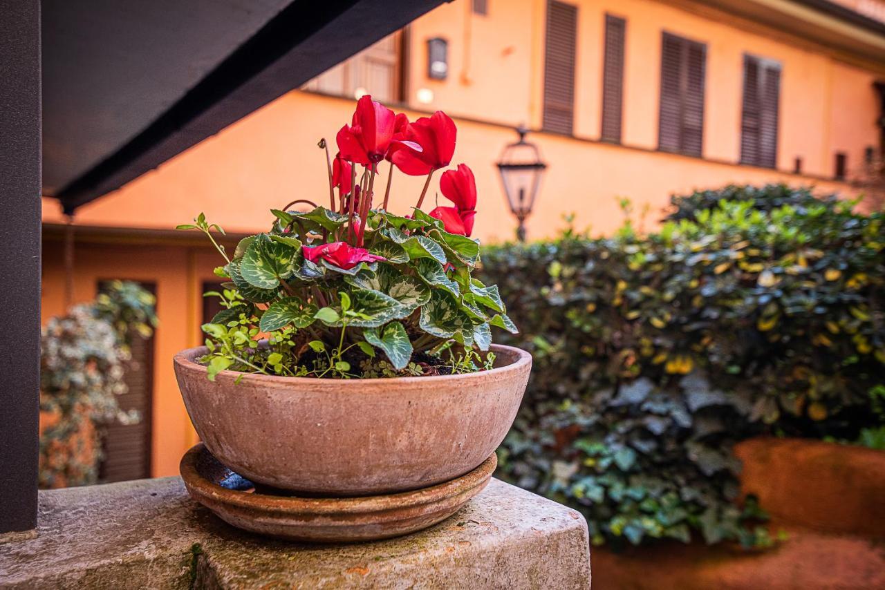Cosy Studio In The Greenest Corner Of Trastevere — Photos 2